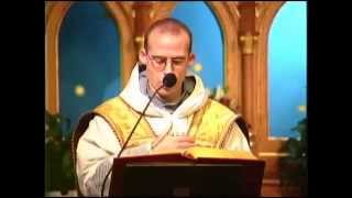 Jun 22  Homily Receiving the Eucharist [upl. by Mattland]