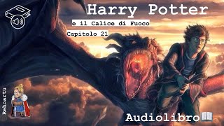 Audiolibro  Harry Potter e il calice di fuoco  Lettura e Commento Cap 21 [upl. by Nowaj953]