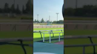 91日新潟記念 ライトバック返し馬 ライトバック 坂井瑠星 新潟記念 新潟競馬場 ライトバックと坂井騎手の無事を祈ります✨ [upl. by Casanova]