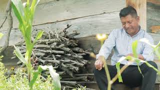 Ojitos Soñadores  VideoClip Oficial  Los aradores de Oaxaca [upl. by Reinhard]