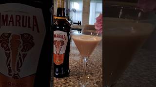 Amarula Martini cocktail 🍸shortsafrica shorts amarula [upl. by Rehpotsirhk]