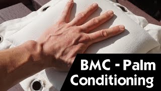 Iron Palm Training  Bone amp Muscle Conditioning BMC©  Martial Arts Explained [upl. by Shae259]