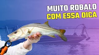 Faça isso e pegue muitos robalos  FAÇA ISSO E PEGUE MAIS ROBALOS Pesca com caiaque [upl. by Rockafellow]