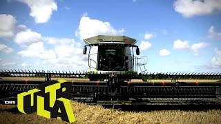 Claas Lexion 770 TT mejetærsker  Danmarks Vildeste Maskiner  Ultra [upl. by Enylodnewg]