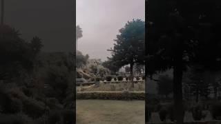 Manchali In Badiya Me khusbuye Hai Pyar kijammukashmirkatra badiyahusbandwife❣️ytviralshorts [upl. by Nivanod]