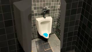 Kohler Bardon Urinal Flush  China Press Building Alhambra California  Desensitization Training [upl. by Noimad]