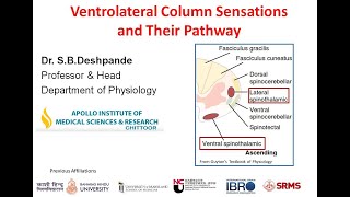 Physiology of Ventrolateral Column Sensations by SB Deshpande [upl. by Mas]