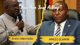 Journalist Bheki Makhubu Takes On Eswatini Prime Minister Russel Dlamini [upl. by Lerim]