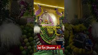 Jai Sri Shyam 🙏 radhe follow trendingshorts [upl. by Nahoj]