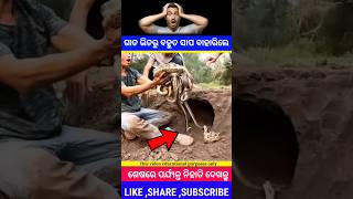 ଗାତଭିତରୁ ବହୁତ ଛୋଟ ସାପ ମିଳିଲା 😱 Odia Stories Odia Moral Story Odia Gapa OdiaGopo short story viral [upl. by Orr]