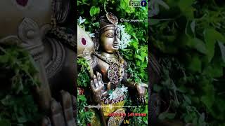 panam pathavi thevai illai god murugan songgod murugansongs whatsappstatusvideo [upl. by Ecirp]