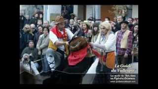 fete de lours arles sur tech 2014 [upl. by Lynus]