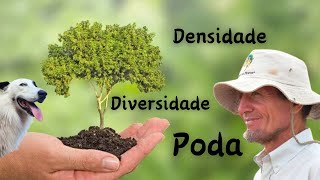 Construindo uma agrofloresta no semiárido Como ter êxito [upl. by Lyrac]