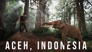 Aceh Indonesia  Menarik BANGAT Budaya Aceh Tidur dengan GAJAH [upl. by Brockwell]