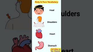 Learn Body Parts Vocabulary in English shorts [upl. by Nomzzaj]