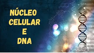 Núcleo celular e DNA  Fisiologia Humana [upl. by Frazer]