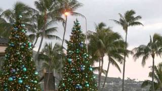 Silent Night Hawaiian Style by Melody Dawn cover [upl. by Ludovico]