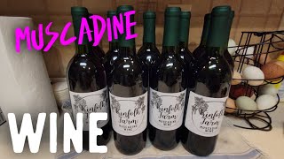 How To Make Muscadine Wine Start to Finish [upl. by Aztilem212]