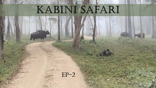 Kabini Morning Safari  EP  2 [upl. by Wurst38]