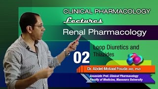 Renal Pharmacology Ar  02  Loop diuretics and thiazides [upl. by Nrev]