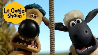 La Oveja Shaun 🐑 Perro y oveja 🐑 Dibujos animados para niños [upl. by Lamahj]