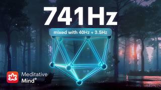 741 Hz ❯ Dissolve TOXINS  Full Body Aura Cleanse amp Detox [upl. by Moyer]