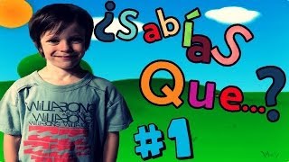 10 COSAS QUE QUIZÁS NO SABIAS  Thiago [upl. by Ile]