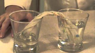 Capillary Action Experiment [upl. by Cid777]