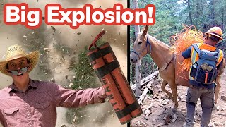 Mules Packing EXPLOSIVES Vlog 26 [upl. by Lagiba]