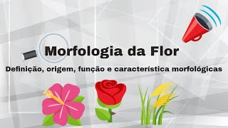 Morfologia da flor [upl. by Alleyne215]