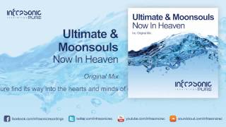 Ultimate amp Moonsouls  Now In Heaven Infrasonic Pure [upl. by Feldt]