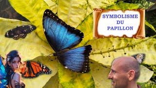 SYMBOLISME DU PAPILLON [upl. by Sug]