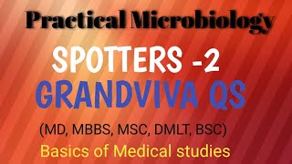 Microbiology Mbbs PracticalMicrobiology Mbbs spotters 2 Microbiology Grandviva qs [upl. by Arun]