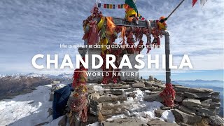 Chandrashila Trek in December  Chopta to Tungnath  Highest Peaks  Indian Himalayas [upl. by Mikael]