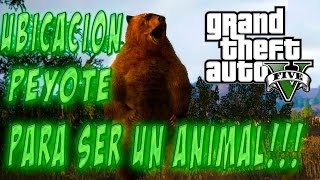 GTA V Next gen Ubicacion peyote para convertirse en un animal [upl. by Meador]