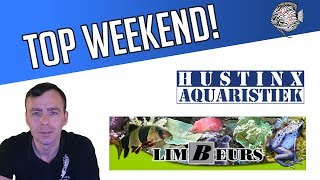 TOP WEEKEND Opendeurdag Aquaristiek Hustinx en Limbeurs  Aquarium Sunshine Valley [upl. by Melva857]