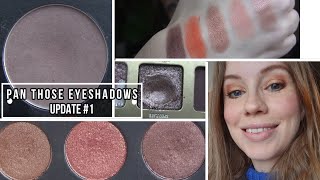 Pan Those Eyeshadows 2024 Update 1 [upl. by Rose971]