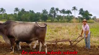 LAMENTO DEL CARRETERO con letra FEDERICO Y SU COMBO amp CANELITA MEDINA [upl. by Bridwell535]