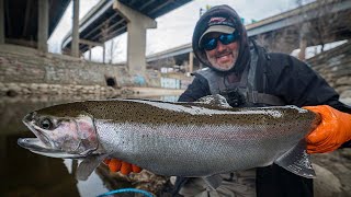 Urban Steelhead Fishing FLOAT DROPS [upl. by Lokcin]