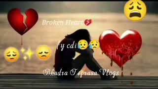 kokboro  sadstatus Boyar vlog 👍😭😭🌼💔 [upl. by Aivatnwahs]