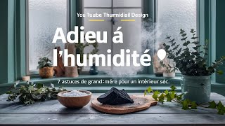 7 Astuces de GrandMère Pour Combattre lHumidité Dans Votre Maison en Hiver [upl. by Necyrb]