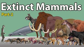 Massive Extinct Mammals Size Comparison 2024  Extinct Mammals Size Comparison 2024 part2 [upl. by Allemrac161]