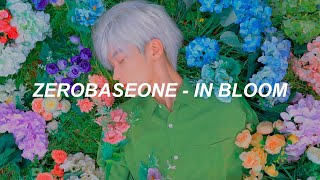 ZEROBASEONE 제로베이스원 In Bloom Easy Lyrics [upl. by Nosnaj]