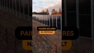 PAINÉIS SOLARES na VERTICAL [upl. by Radferd]