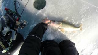 Lake Erie Ice Fishing Trip February 2014 [upl. by Einra]