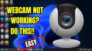 How to Fix Webcam Not Working on Windows 11 amp 10 – Easy Solutions [upl. by Buckler]