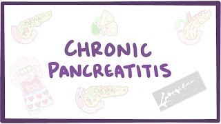 Chronic pancreatitis  causes symptoms diagnosis treatment pathology [upl. by Bussy]