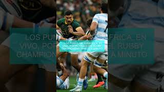 🔴 Los Pumas vs Sudáfrica EN VIVO por el título del Rugby Championship minuto a minuto [upl. by Aretta]