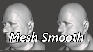 Fastest way to Smooth Mesh in Meshmixer 3D scan for 3D printing tutorial [upl. by Innus277]