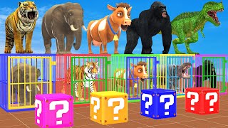 Dont Jump On WRONG BOX Challenge With Elephant Cow Tiger Gorilla Escape Room Challenge Cage Game [upl. by Krueger]